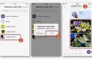 Отправка и создание скриншота в Viber на iPhone